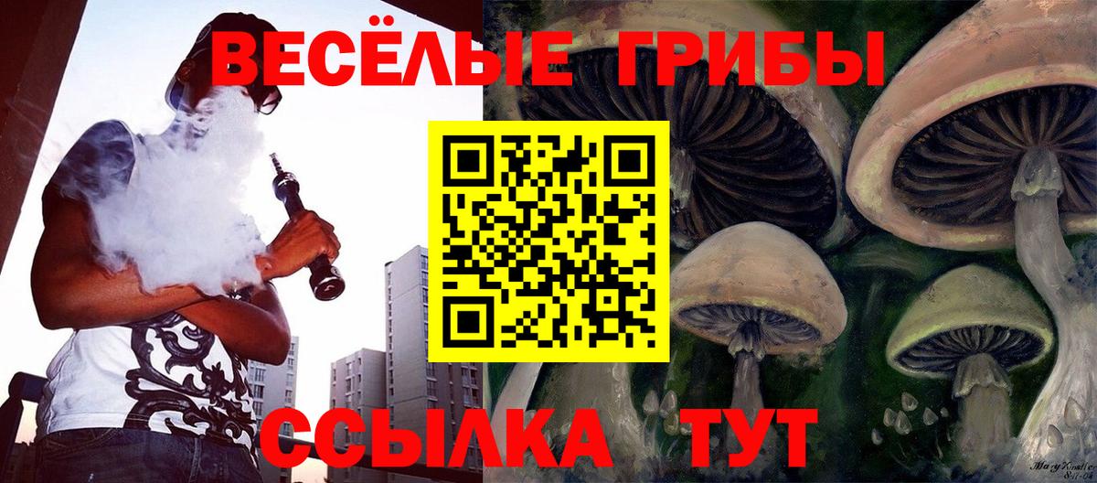 Псилоцибиновые грибы мицелий Ялуторовск