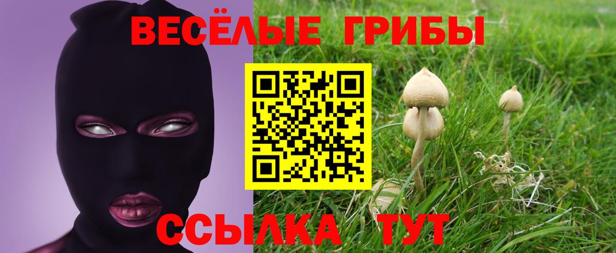 Галлюциногенные грибы Psilocybe  Вход с VPN  Ялуторовск 